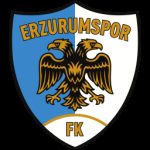 Erzurum FK